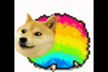 Rainbow_dance_doge GIF - Rainbow_dance_doge GIFs