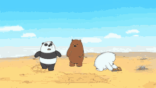 Areia Ice Bear GIF - Areia Ice Bear Panda Bear GIFs