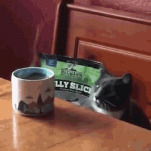 Smelling Sniff GIF - Smelling Sniff Cat GIFs