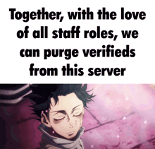 together with the love of all staff roles , we can purge verifieds from this server