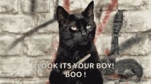 Tell Me More Salem GIF - Tell Me More Salem Its Your Boy GIFs