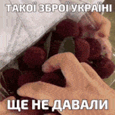 a person holding a bunch of berries with a caption that says " takoi zbpoi ukraini "