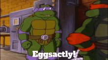 Tmnt Donatello GIF - Tmnt Donatello Eggsactly GIFs