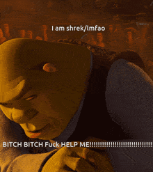 Shrek I Am Shrek GIF - Shrek I Am Shrek Swearing GIFs