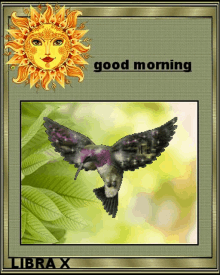 Good Morning Bird GIF - Good Morning Bird Sun GIFs