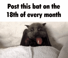 Post This Bat On The 18th Of Every Month GIF