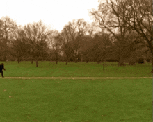 a blurry photo of a park with trees and grass