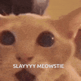 Meowstie Slay GIF - Meowstie Slay Shock GIFs