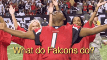 Falcons Fan GIF - Falcons Fan Cheer GIFs