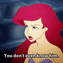 I Love Him Little Mermaid GIF - I Love Him Little Mermaid You Dont Even Know Him GIFs