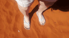 Red Sand In The Outback GIF