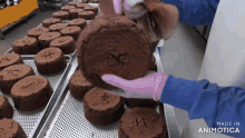 a bunch of chocolate cakes on a tray with the words made in animotica