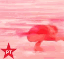 a blurred image of a woman ice skating with a red star that says pt on it