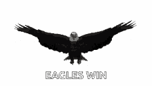 Eagle Soar GIF - Eagle Soar Wing Spread GIFs