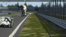 racing elephant