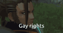 a video game character is standing in a field with the words gay rights written below her