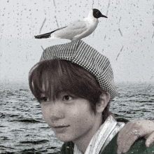 a person with a bird on their head in front of the ocean