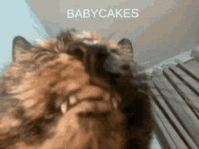 Babycakes T6hkl GIF - Babycakes T6hkl Mhm GIFs