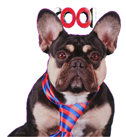 Cool Dog Sticker - Cool Dog Doggy Stickers