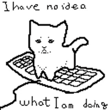I Have No Idea What Im Doing Kitten GIF - I Have No Idea What Im Doing Kitten Kitty GIFs
