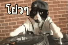 โย่วๆ GIF - Cat Yo Hiphop GIFs