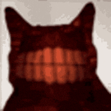Ultrakill Cat GIF - Ultrakill Cat GIFs