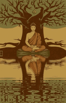calm meditate meditation lotus clarity