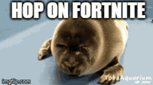 Seal Fortnite GIF