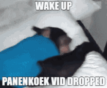 Wake Up Panenkoek GIF