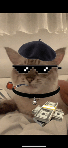 Gangsta Cat GIF - Gangsta Cat Gangsta Cat GIFs