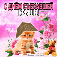 a kitten with a roof on its head is on a pink background with flowers