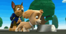 Paw Patrol Chase GIF - Paw Patrol Chase And GIFs