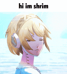 Shrim Hi Im Shrim GIF - Shrim Hi Im Shrim Aigis GIFs