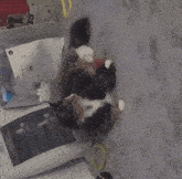 a black and white cat is laying on its back next to a microwave