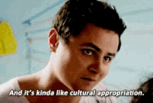 Cultural Appropriation Appropriate GIF