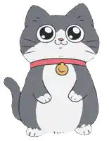 a gray and white cat with a red collar and a yellow tag around its neck