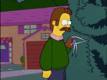S05e02 Simpsons GIF - S05e02 Simpsons Ned Flanders GIFs