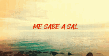 Talijuegos Sal Me GIF - Talijuegos Sal Me Sea GIFs