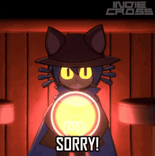 a cat holding a light bulb with the words sorry on the bottom