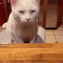 Cat Crying GIF