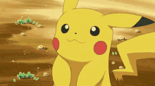 pokemon pikachu cute happy smile