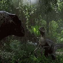 a couple of dinosaurs are standing in the middle of a lush green forest .