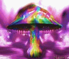 mushrooms trippy psychedelic