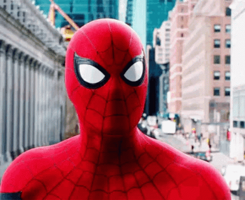 Spiderman Peter Parker GIF - Spiderman Peter Parker Wth - Discover & Share  GIFs