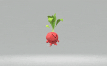 GIF