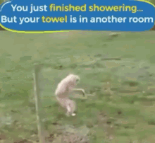 monkey when you forget your towel cute