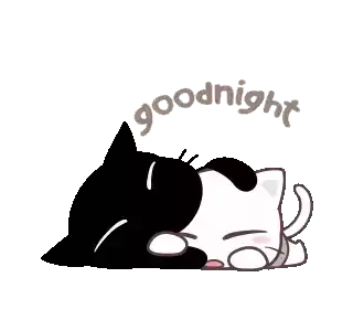 Sleeping Good Night Sticker - Sleeping Good Night Black Cat Stickers