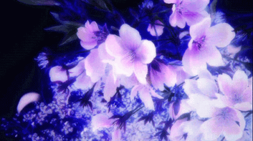 Purple GIF – Purple – discover and share GIFs