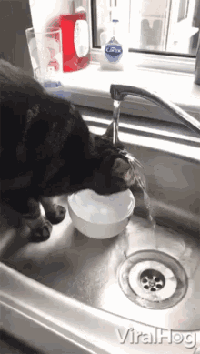 Kitty Prefers Fresh Faucet Water I Feel Hot GIF - Kitty Prefers Fresh Faucet Water I Feel Hot Bathing GIFs