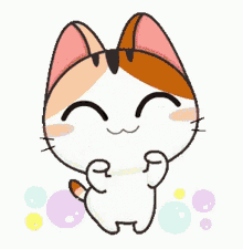 Dance Kitty GIF - Dance Kitty Purr GIFs